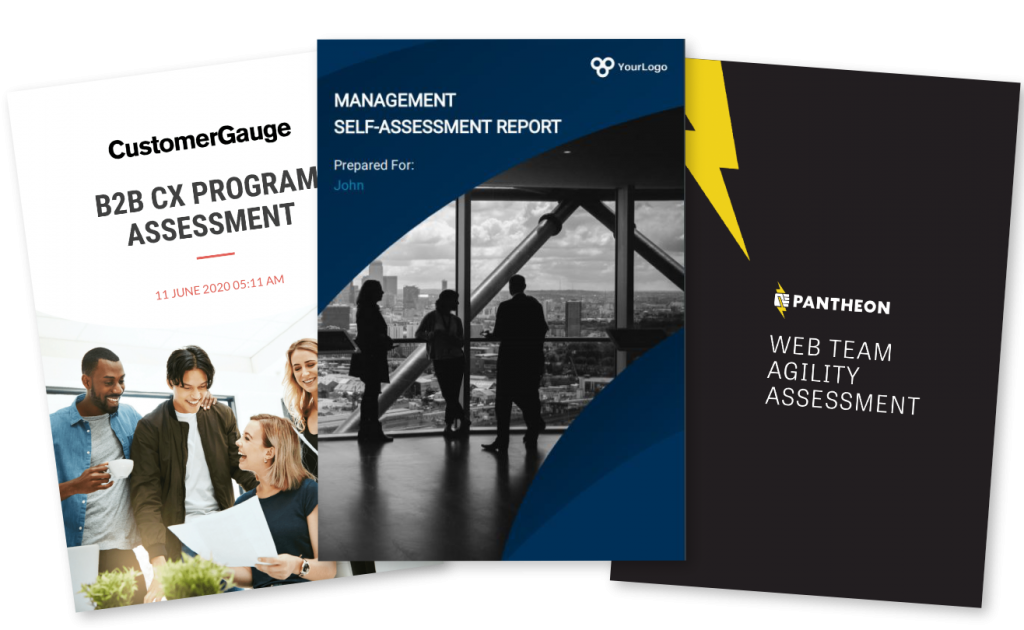Branded assessment report