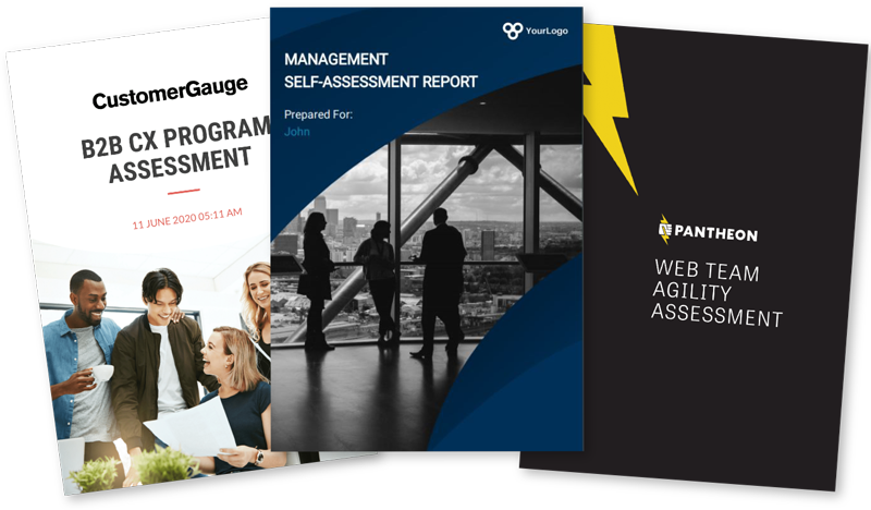 Branded assessment report